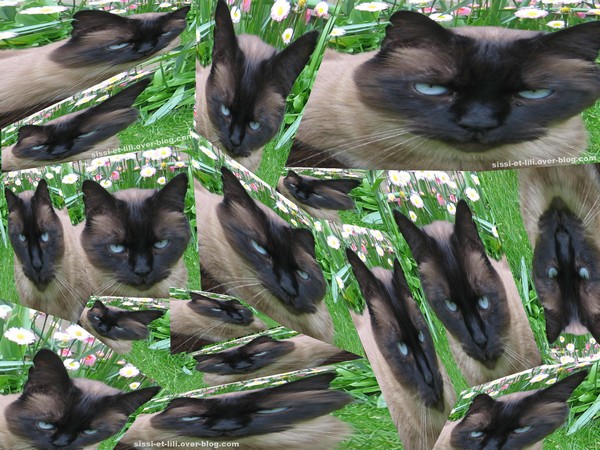 Image hébergée par Casimages.com : votre hébergeur d images simple et gratuit