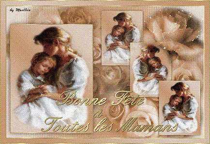 Image h�berg�e par Casimages.com : votre h�bergeur d images simple et gratuit