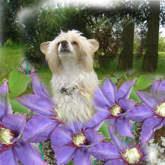 Image h�berg�e par Casimages.com : votre h�bergeur d images simple et gratuit