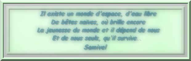 Image h�berg�e par Casimages.com : votre h�bergeur d images simple et gratuit