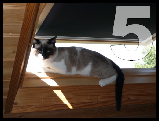 Image hébergée par Casimages.com : votre hébergeur d images simple et gratuit