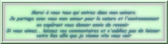 Image h�berg�e par Casimages.com : votre h�bergeur d images simple et gratuit