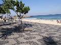 IPANEMA