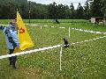 IMG_1405