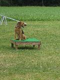IMG_1428