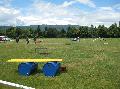 IMG_1442