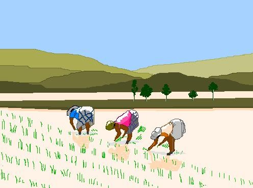 Image hébergée par Casimages.com : votre hébergeur d images simple et gratuit