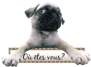 voir l'image en taille réelle