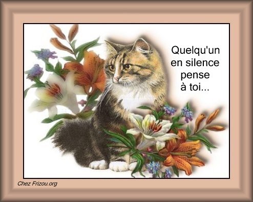 voir l'image en taille réelle
