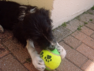 Image hébergée par Casimages.com : votre hébergeur d images simple et gratuit