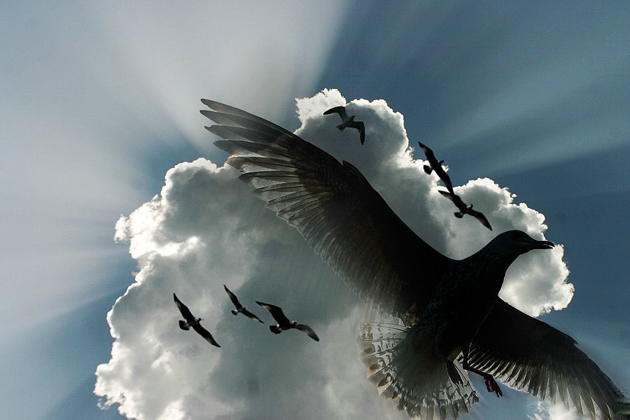 Bulut Resimleri (2. Katalog)