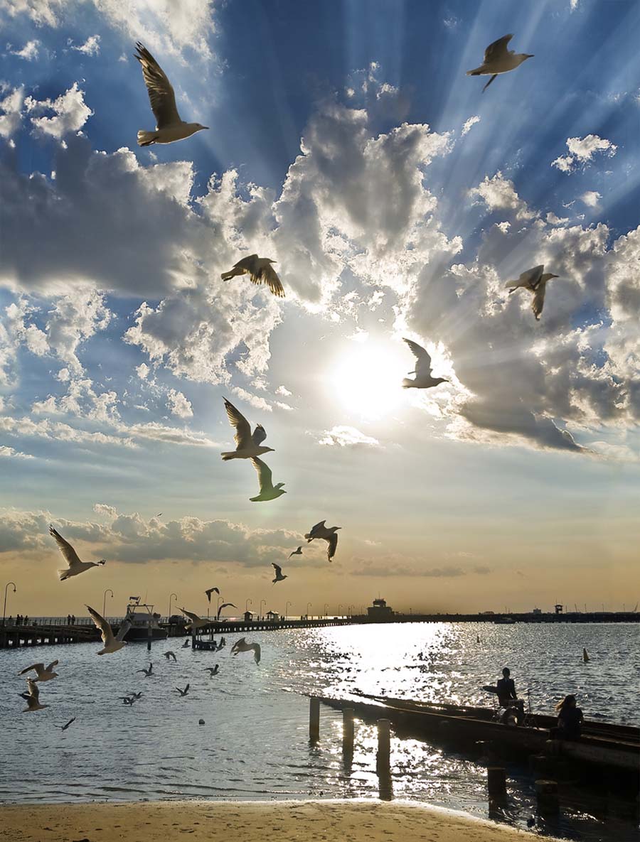 Bulut Resimleri (2. Katalog)