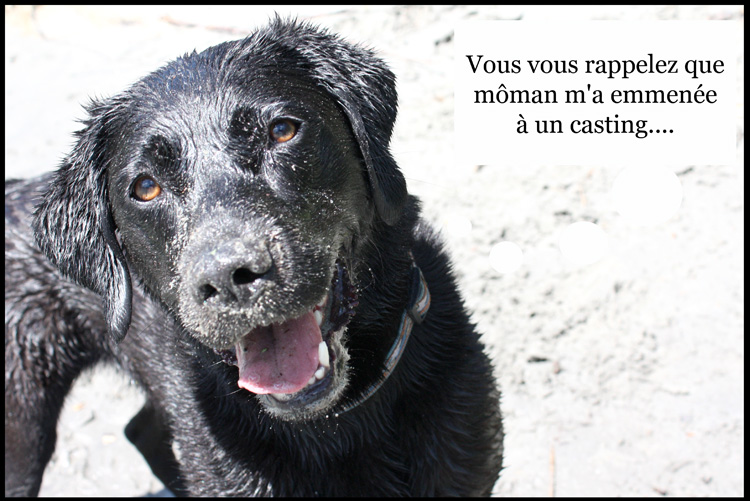 Image h�berg�e par Casimages.com : votre h�bergeur d images simple et gratuit
