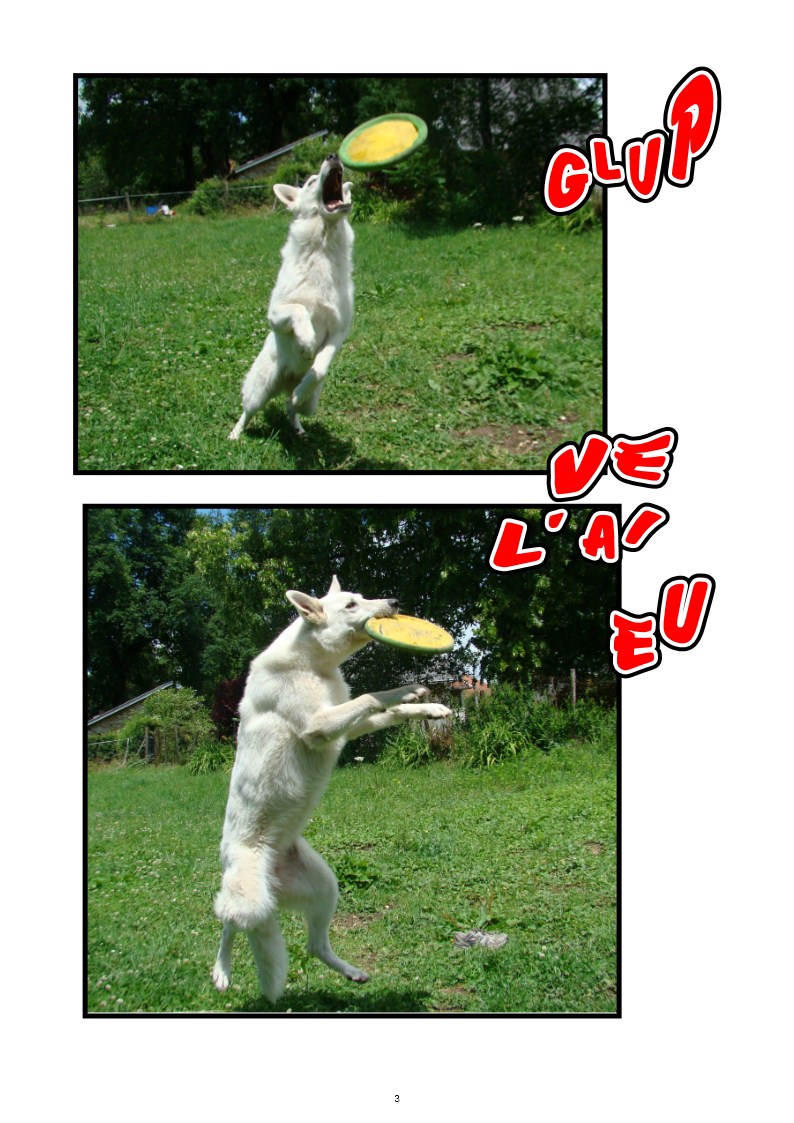 Image h�berg�e par Casimages.com : votre h�bergeur d images simple et gratuit