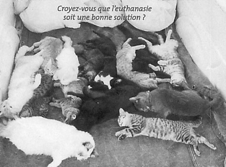 Image hébergée par Casimages.com : votre hébergeur d images simple et gratuit