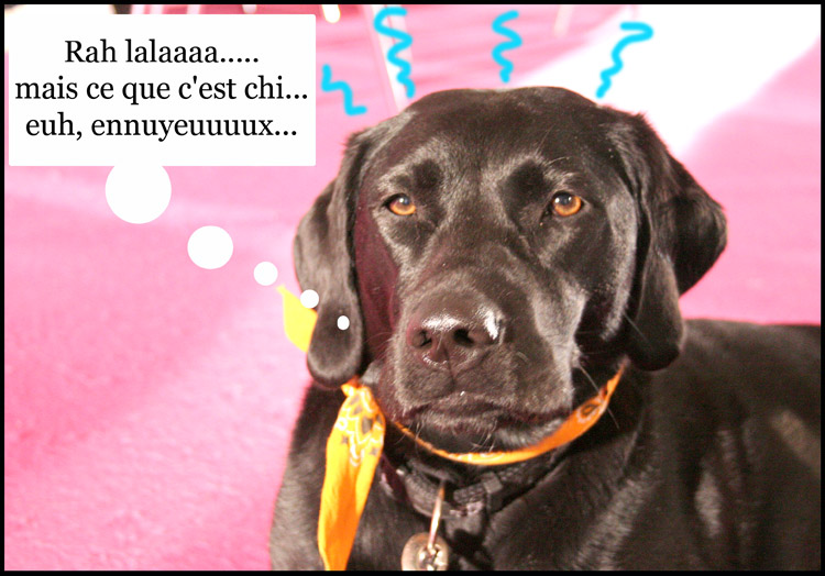 Image h�berg�e par Casimages.com : votre h�bergeur d images simple et gratuit