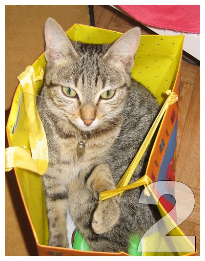 Image hébergée par Casimages.com : votre hébergeur d images simple et gratuit