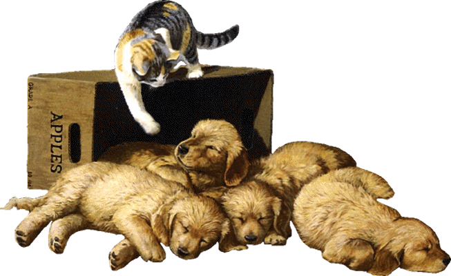 Image hébergée par Casimages.com : votre hébergeur d images simple et gratuit