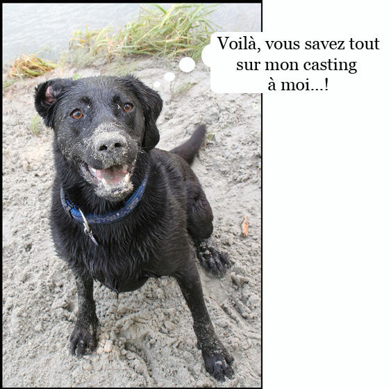 Image h�berg�e par Casimages.com : votre h�bergeur d images simple et gratuit