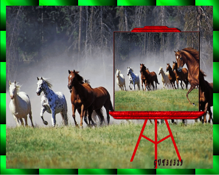 Image hébergée par Casimages.com : votre hébergeur d images simple et gratuit