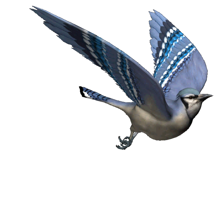 Image h�berg�e par Casimages.com : votre h�bergeur d images simple et gratuit