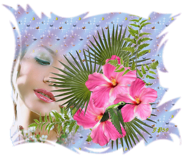 Image h�berg�e par Casimages.com : votre h�bergeur d images simple et gratuit