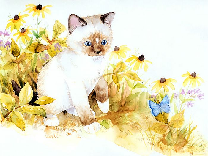 Image hébergée par Casimages.com : votre hébergeur d images simple et gratuit