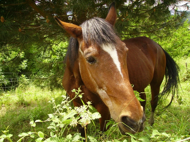 Image hébergée par Casimages.com : votre hébergeur d images simple et gratuit
