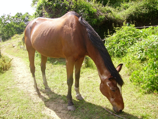 Image hébergée par Casimages.com : votre hébergeur d images simple et gratuit
