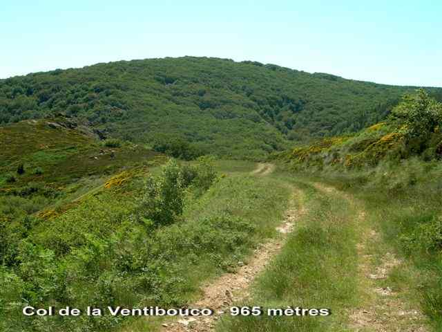 Agrandir l'image