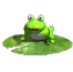 voir l'image en taille réelle