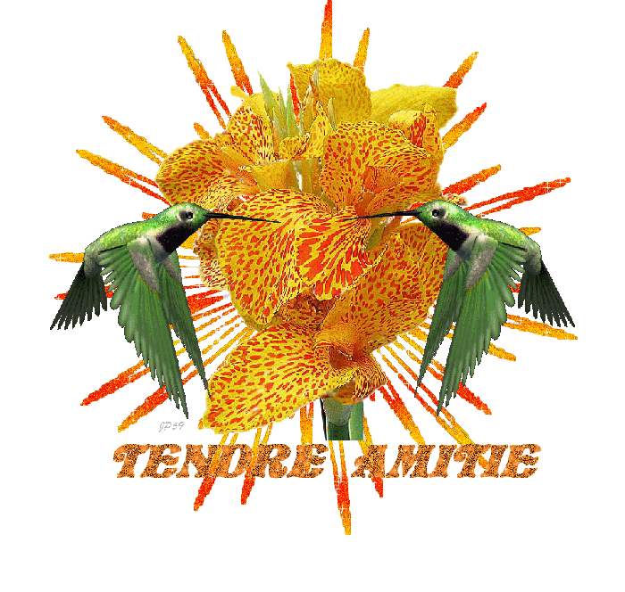 Image h�berg�e par Casimages.com : votre h�bergeur d images simple et gratuit