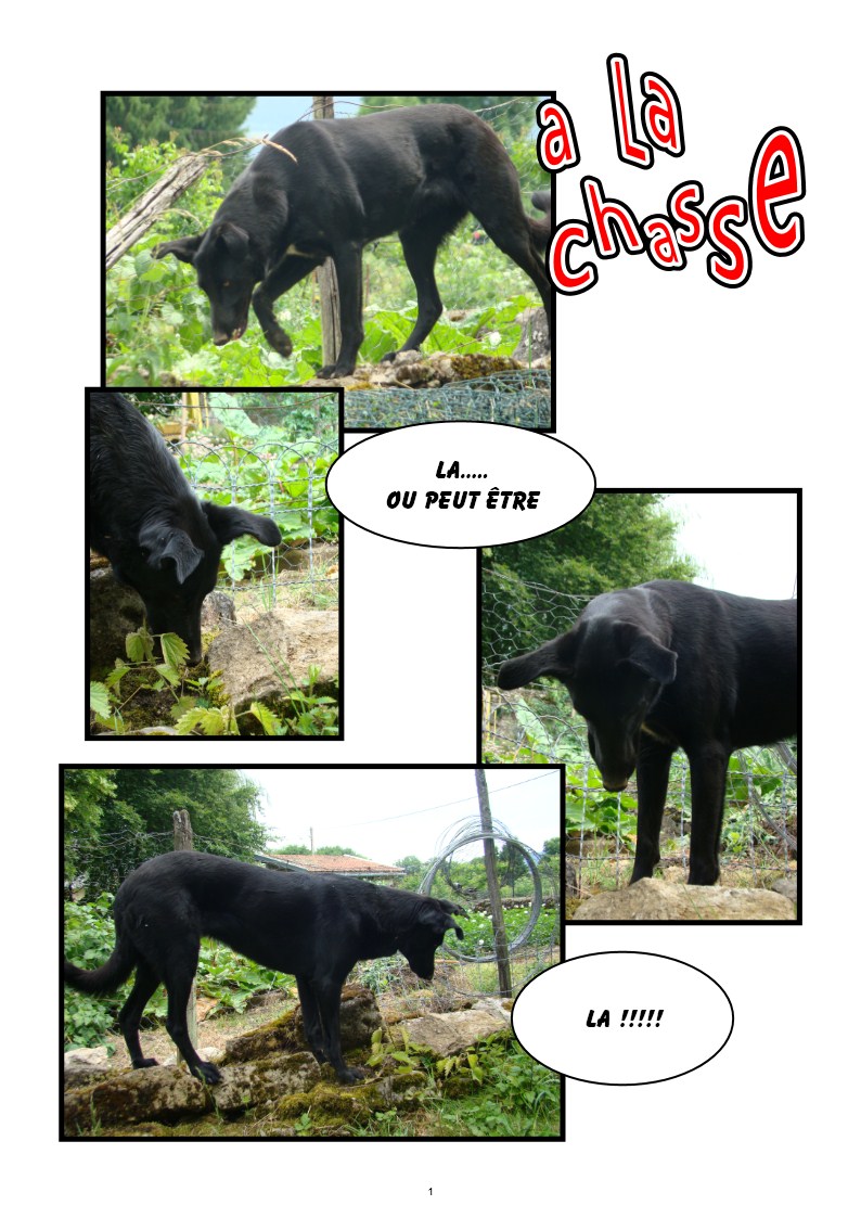 Image h�berg�e par Casimages.com : votre h�bergeur d images simple et gratuit