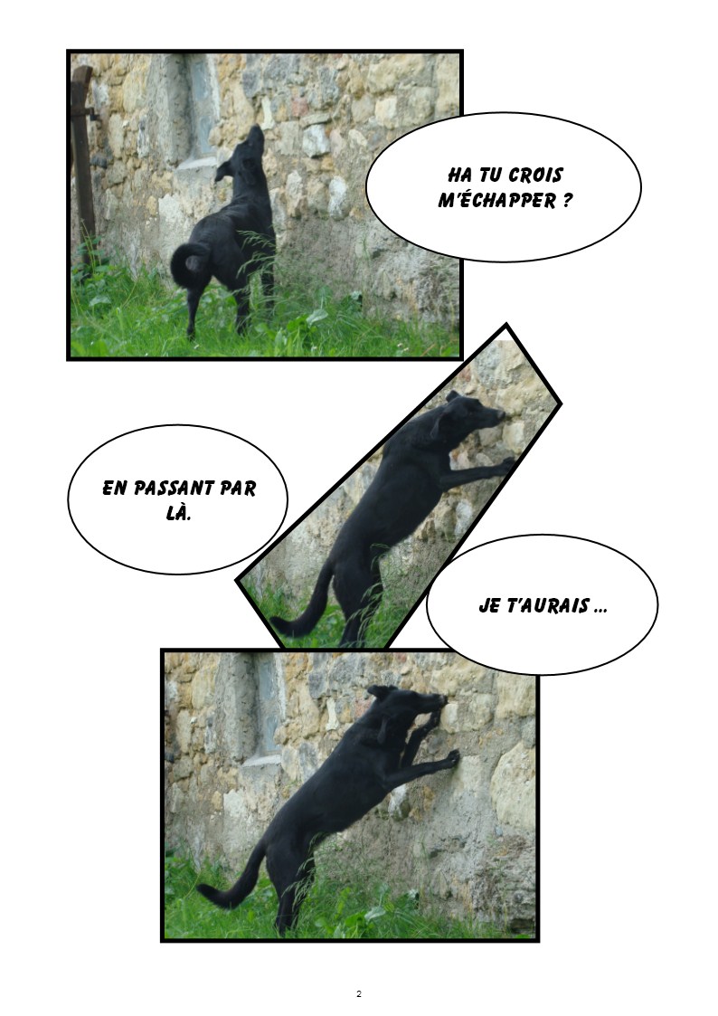 Image h�berg�e par Casimages.com : votre h�bergeur d images simple et gratuit