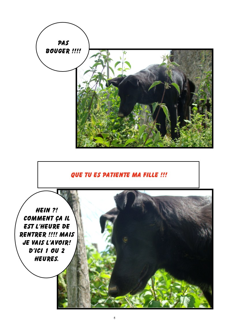 Image h�berg�e par Casimages.com : votre h�bergeur d images simple et gratuit