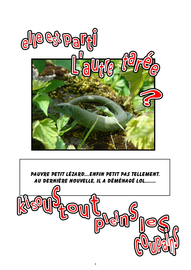 Image h�berg�e par Casimages.com : votre h�bergeur d images simple et gratuit
