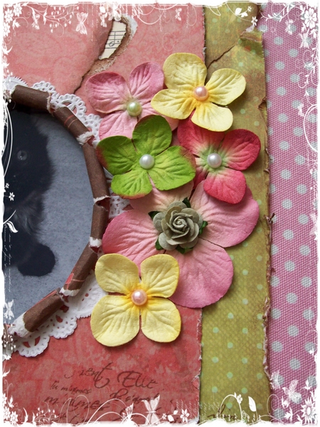 Image hébergée par Casimages.com : votre hébergeur d images simple et gratuit