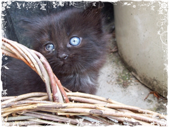 Image hébergée par Casimages.com : votre hébergeur d images simple et gratuit