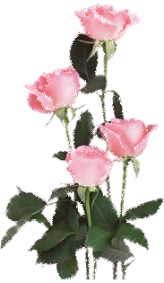 Image h�berg�e par Casimages.com : votre h�bergeur d images simple et gratuit