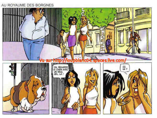 voir l'image en taille réelle