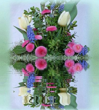 Image hébergée par Casimages.com : votre hébergeur d images simple et gratuit