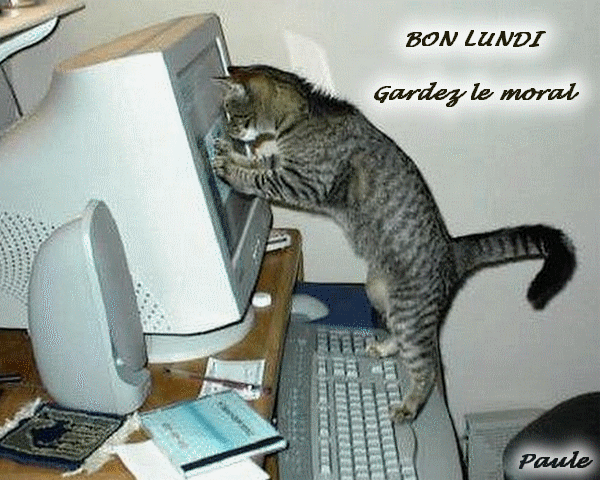 Image hébergée par Casimages.com : votre hébergeur d images simple et gratuit