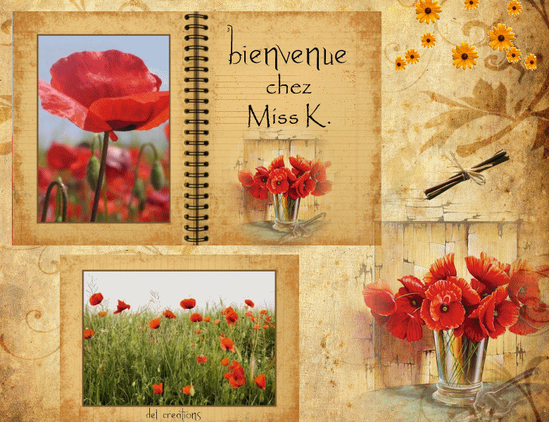 Image hébergée par Casimages.com : votre hébergeur d images simple et gratuit