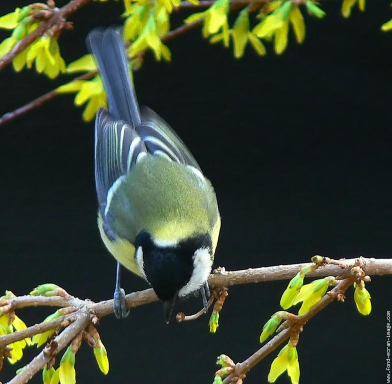 Image hébergée par Casimages.com : votre hébergeur d images simple et gratuit