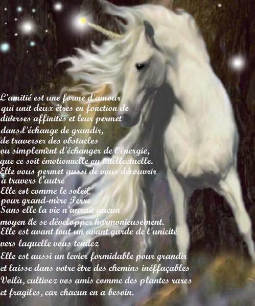 Image h�berg�e par Casimages.com : votre h�bergeur d images simple et gratuit