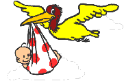Image h�berg�e par Casimages.com : votre h�bergeur d images simple et gratuit