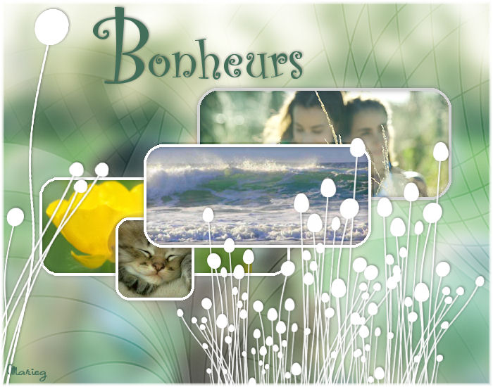 Image hébergée par Casimages.com : votre hébergeur d images simple et gratuit