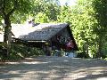 IMG_1501