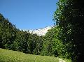 IMG_1504