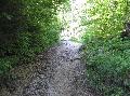 IMG_1507